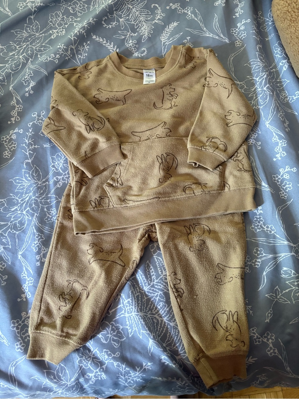 Carter's Dog Set